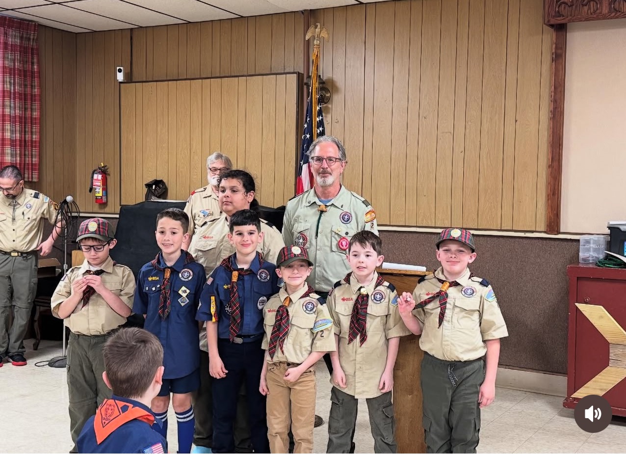 Cub Scouts 2